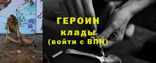 гашик Алексин