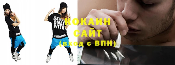 твердый Касимов
