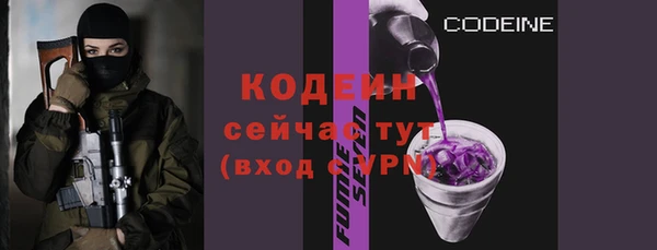 дурь Карпинск