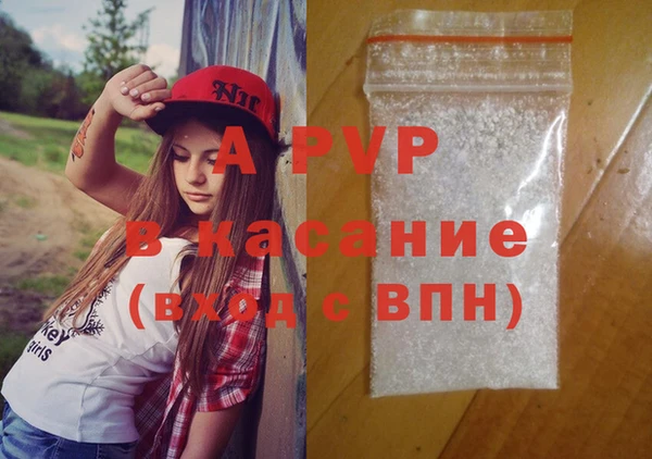 гашик Алексин