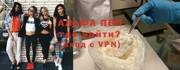 гашик Алексин