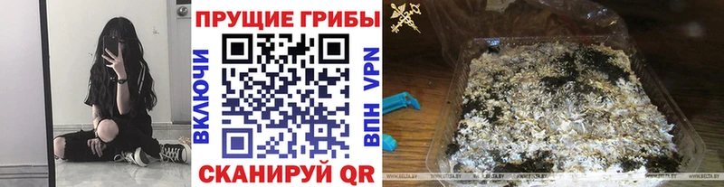 Галлюциногенные грибы Magic Shrooms Усолье-Сибирское
